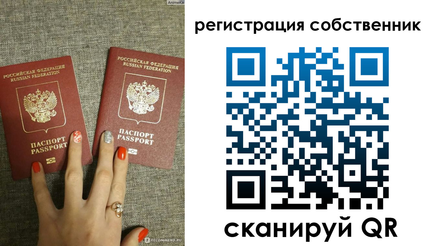 прописка ребенка в Сольцах
